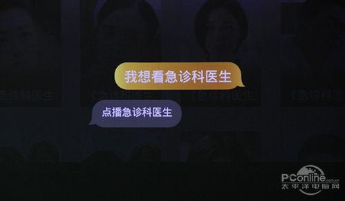 小宝茶语音爆料视频大全,揭秘幕后故事与精彩瞬间